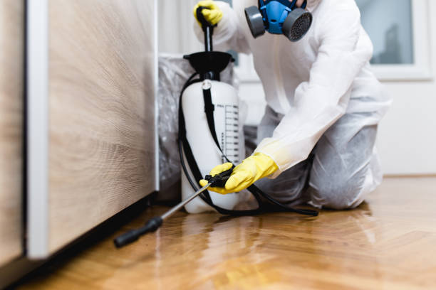 Best Mosquito Control Services  in Thorp, WI
