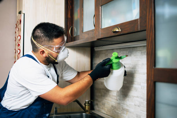 Best Wildlife Control Services  in Thorp, WI