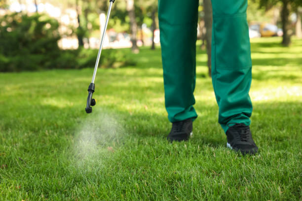 Best Rat Extermination Near Me  in Thorp, WI