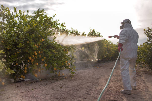 Best Pest Prevention Services  in Thorp, WI